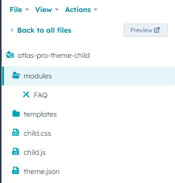 Child theme directory