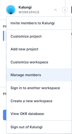 Workspace options dropdown