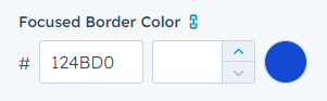 forms focused border color